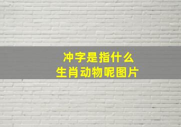 冲字是指什么生肖动物呢图片