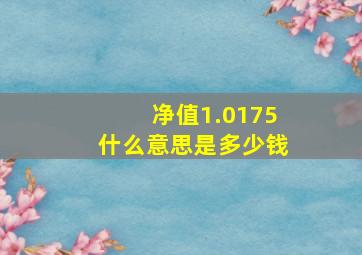 净值1.0175什么意思是多少钱