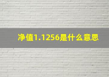 净值1.1256是什么意思