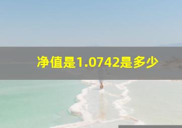 净值是1.0742是多少