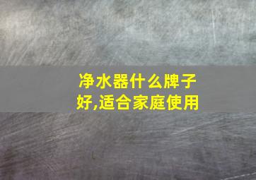 净水器什么牌子好,适合家庭使用