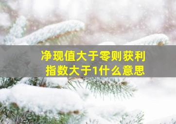 净现值大于零则获利指数大于1什么意思