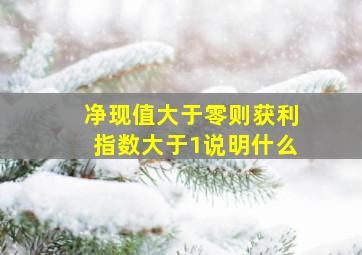 净现值大于零则获利指数大于1说明什么