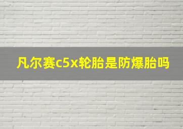 凡尔赛c5x轮胎是防爆胎吗