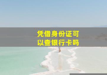 凭借身份证可以查银行卡吗