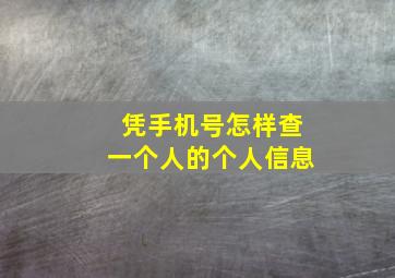 凭手机号怎样查一个人的个人信息