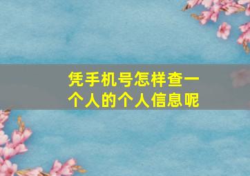 凭手机号怎样查一个人的个人信息呢