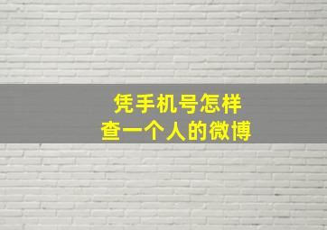 凭手机号怎样查一个人的微博