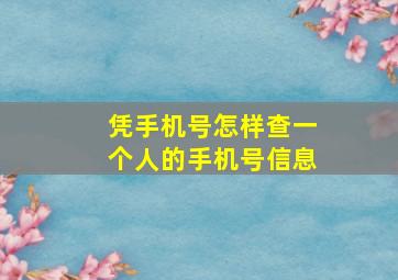 凭手机号怎样查一个人的手机号信息