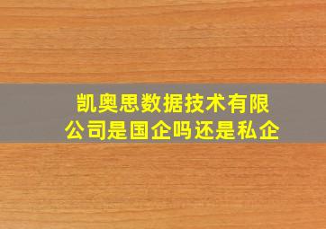 凯奥思数据技术有限公司是国企吗还是私企