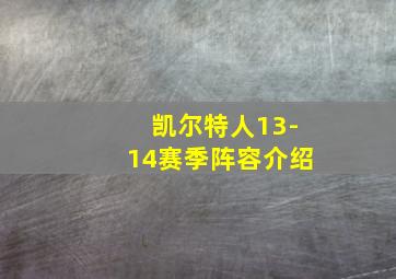 凯尔特人13-14赛季阵容介绍