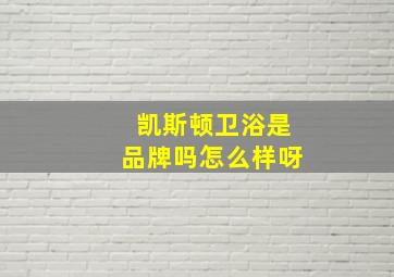 凯斯顿卫浴是品牌吗怎么样呀