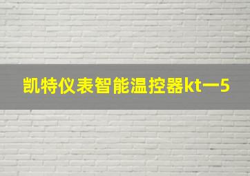 凯特仪表智能温控器kt一5