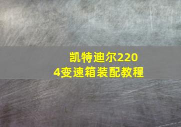 凯特迪尔2204变速箱装配教程