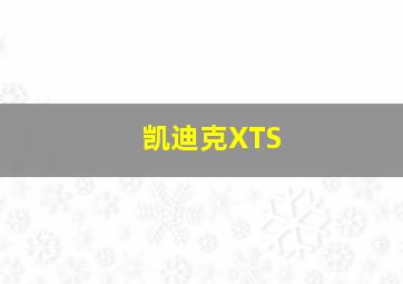 凯迪克XTS