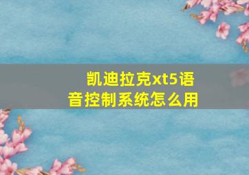 凯迪拉克xt5语音控制系统怎么用