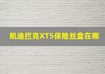 凯迪拦克XT5保险丝盒在哪