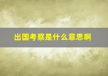 出国考察是什么意思啊