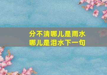 分不清哪儿是雨水哪儿是泪水下一句