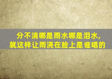 分不清哪是雨水哪是泪水,就这样让雨浇在脸上是谁唱的