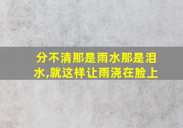 分不清那是雨水那是泪水,就这样让雨浇在脸上