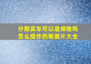 分期买车可以退保险吗怎么操作的呢图片大全