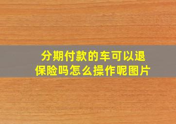 分期付款的车可以退保险吗怎么操作呢图片