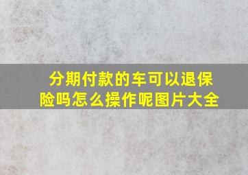 分期付款的车可以退保险吗怎么操作呢图片大全