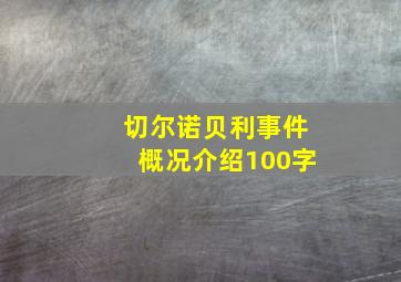 切尔诺贝利事件概况介绍100字