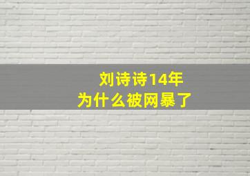 刘诗诗14年为什么被网暴了