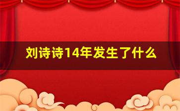 刘诗诗14年发生了什么