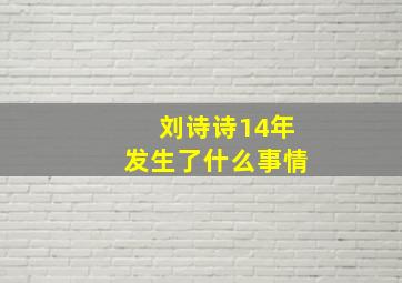 刘诗诗14年发生了什么事情