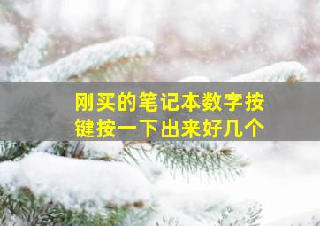 刚买的笔记本数字按键按一下出来好几个