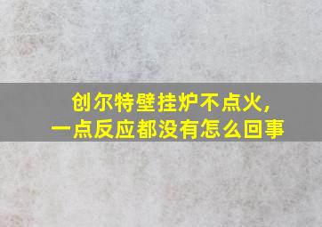 创尔特壁挂炉不点火,一点反应都没有怎么回事