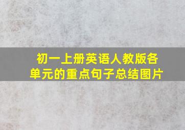 初一上册英语人教版各单元的重点句子总结图片