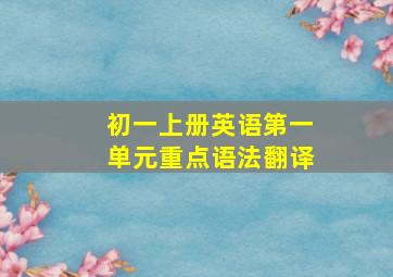 初一上册英语第一单元重点语法翻译