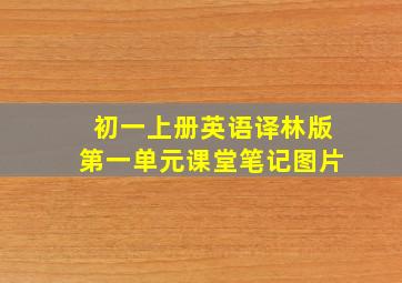 初一上册英语译林版第一单元课堂笔记图片