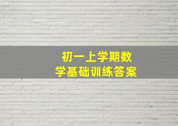 初一上学期数学基础训练答案