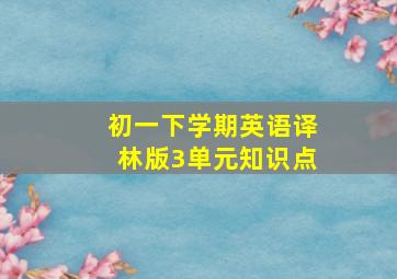 初一下学期英语译林版3单元知识点