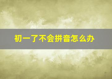 初一了不会拼音怎么办