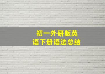 初一外研版英语下册语法总结