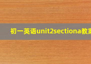 初一英语unit2sectiona教案