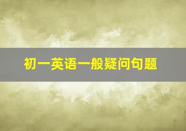 初一英语一般疑问句题