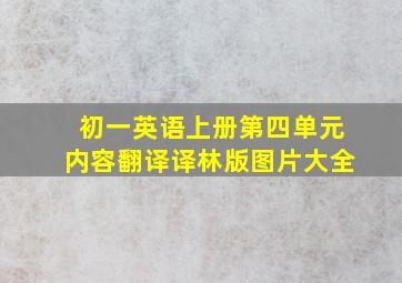 初一英语上册第四单元内容翻译译林版图片大全