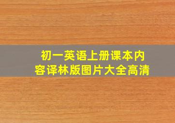 初一英语上册课本内容译林版图片大全高清