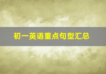 初一英语重点句型汇总