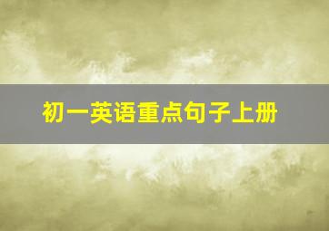 初一英语重点句子上册