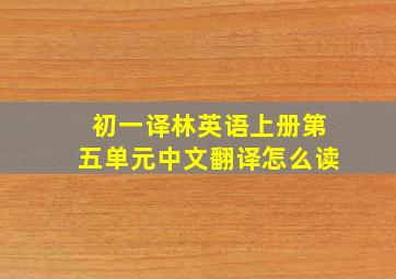 初一译林英语上册第五单元中文翻译怎么读