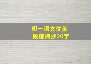 初一语文优美段落摘抄20字