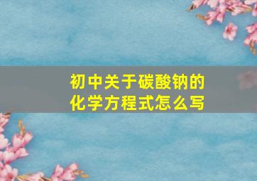 初中关于碳酸钠的化学方程式怎么写